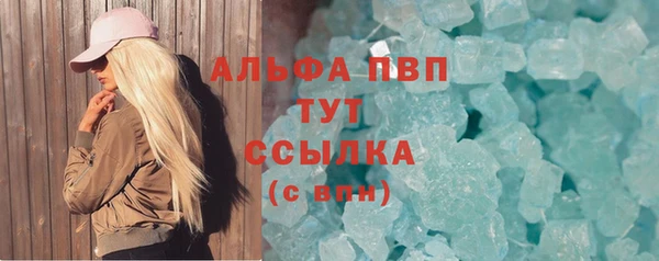 гидра Козловка