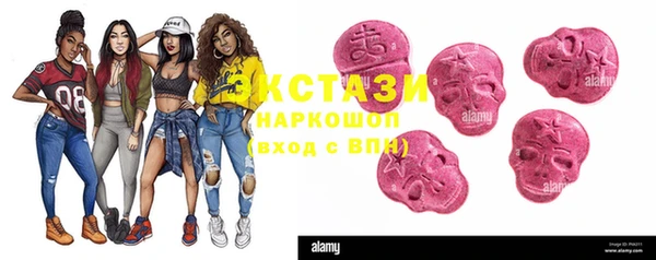 гидра Козловка