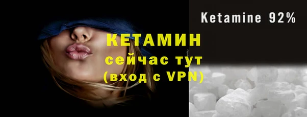 гидра Козловка