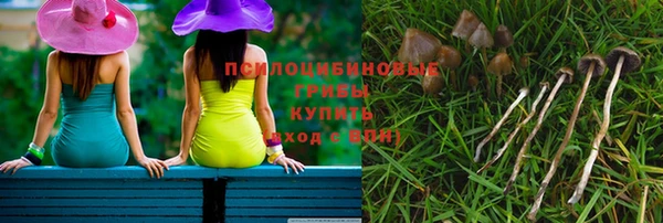 гидра Козловка