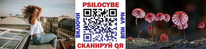 где купить   Балаково  МЕГА ONION  Псилоцибиновые грибы Psilocybe 