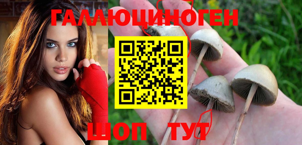 Галлюциногенные грибы ЛСД Балаково