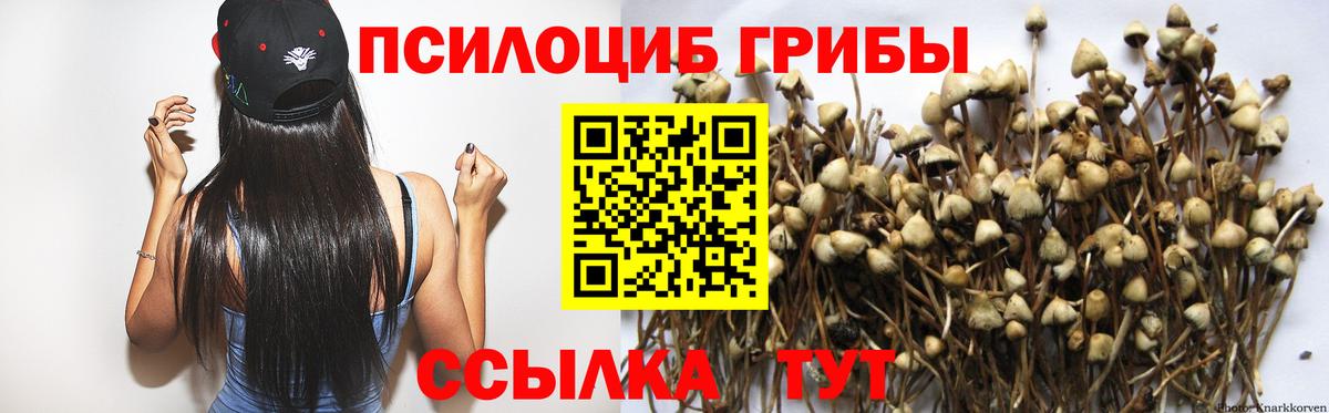 Галлюциногенные грибы Psilocybine cubensis  Вход с VPN  Балаково 