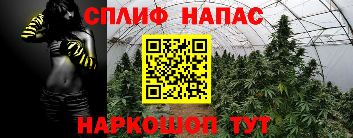 Канабис SATIVA & INDICA Балаково