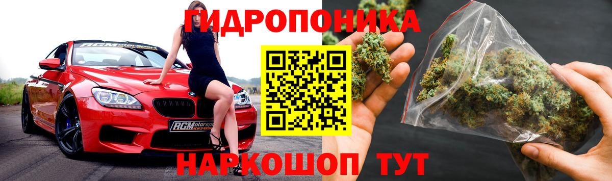 Конопля Amnesia  МАРИХУАНА Bruce Banner  Вход с VPN  Балаково  Бошки Шишки SATIVA & INDICA 